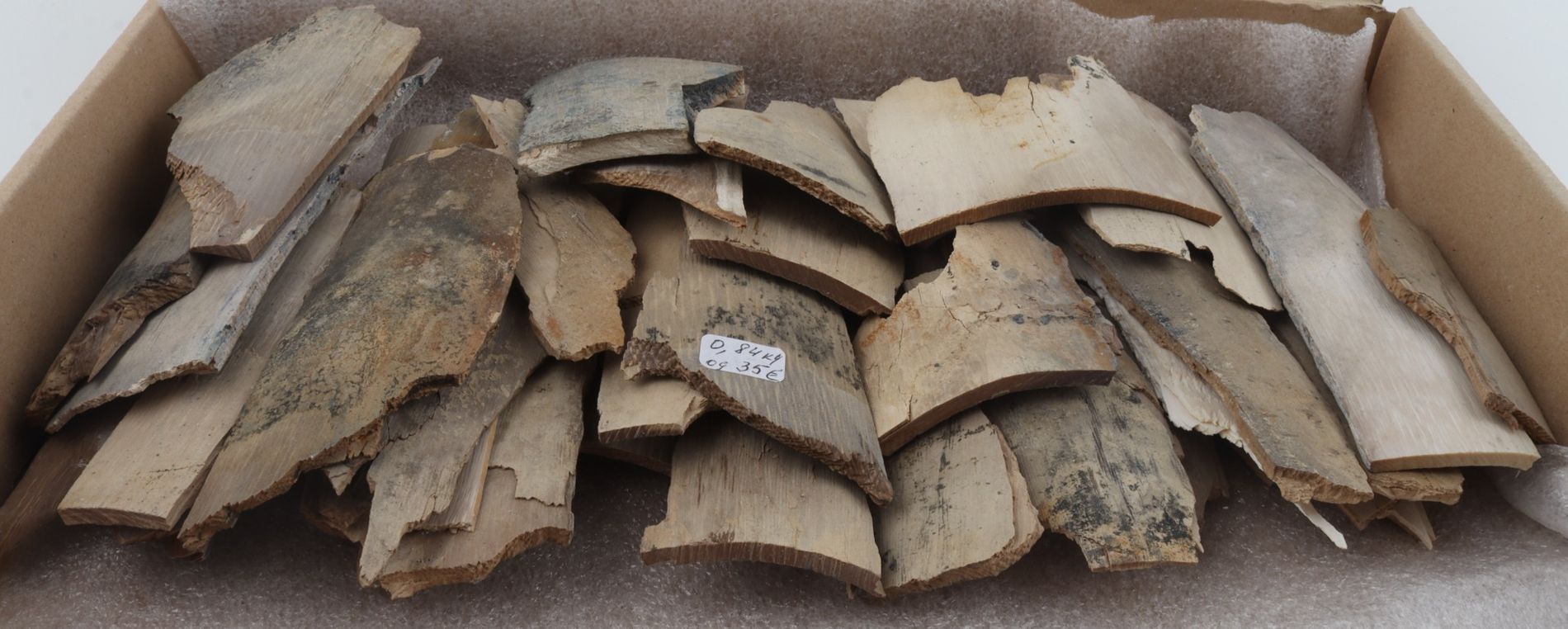 Untreated mammoth ivory pieces