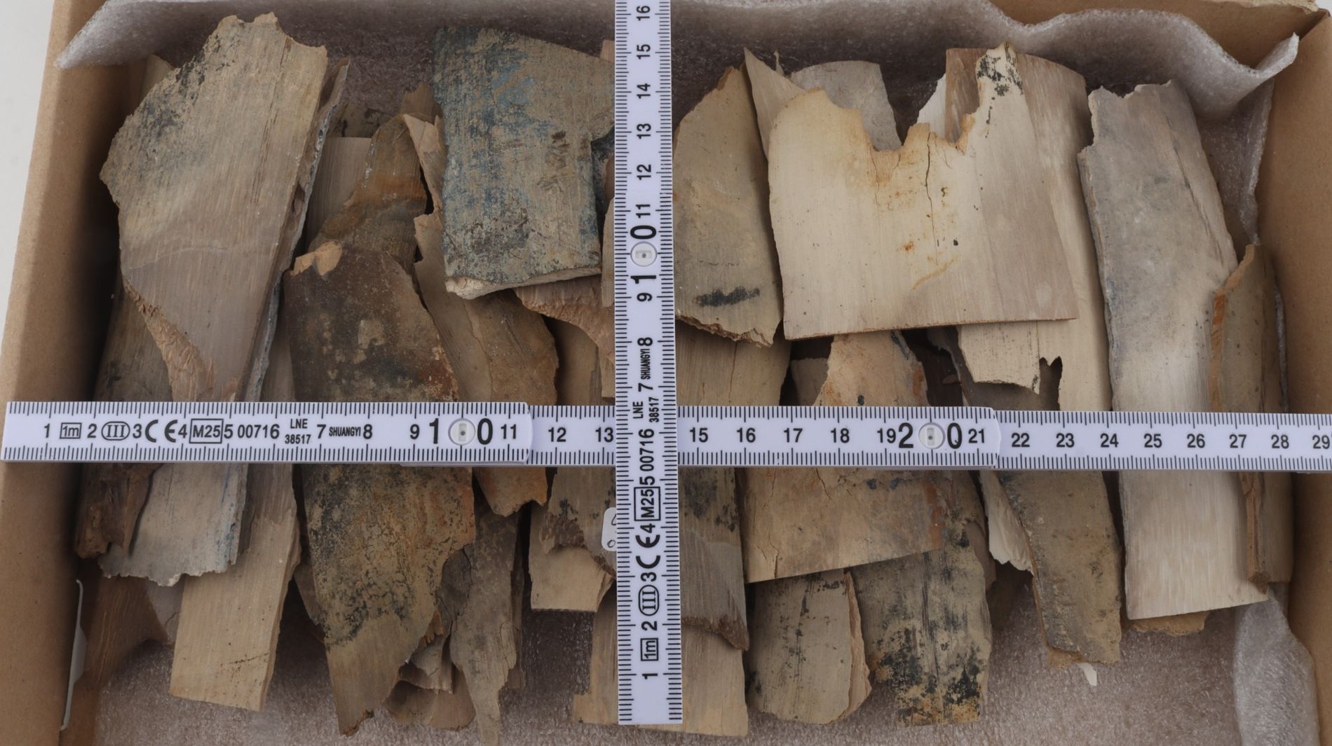 Untreated mammoth ivory pieces