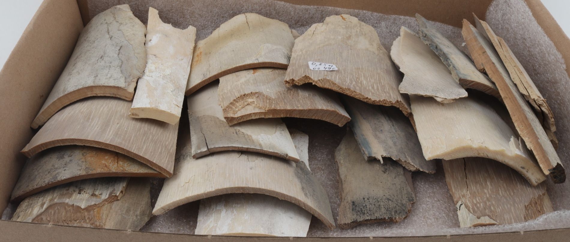 Raw mammoth ivory pieces