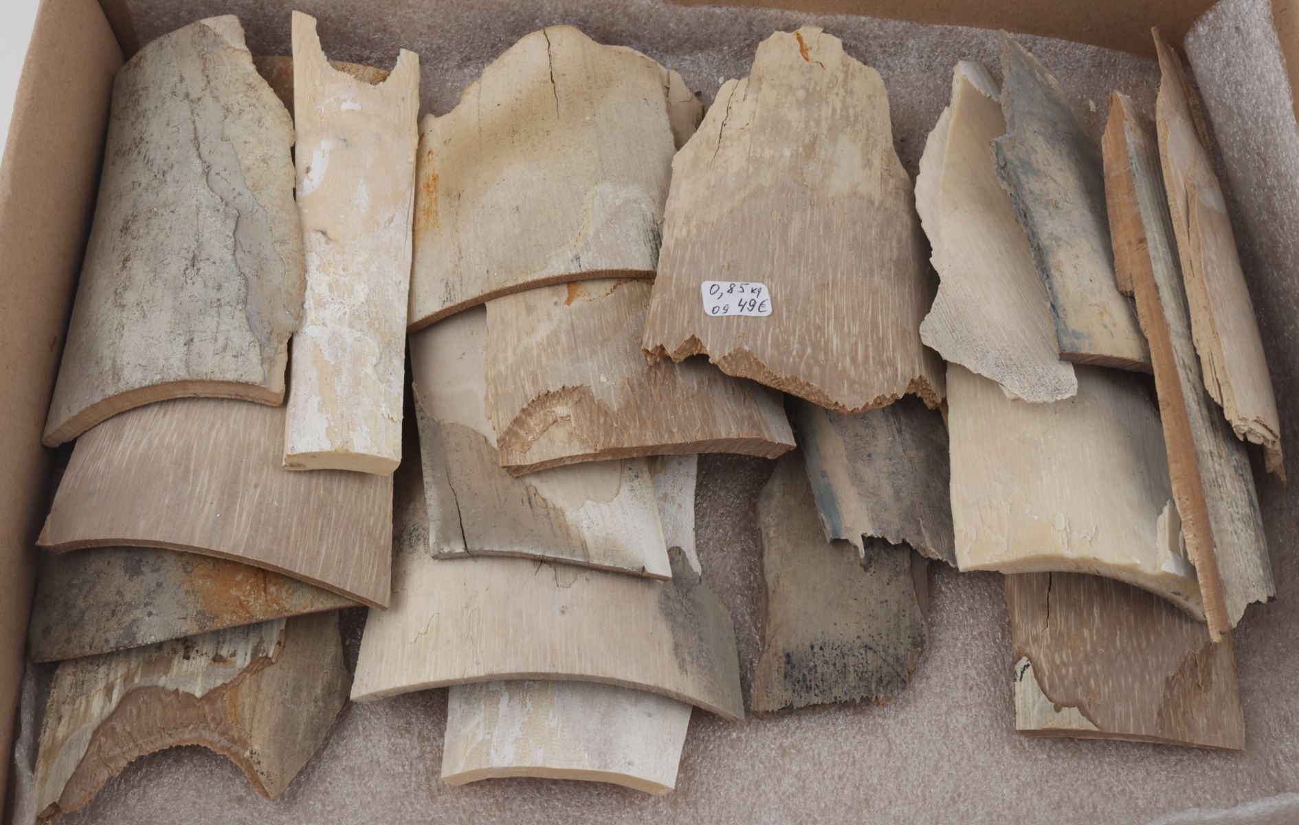 Raw mammoth ivory pieces