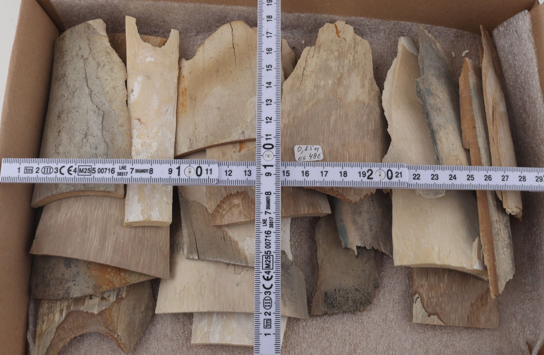 Raw mammoth ivory pieces