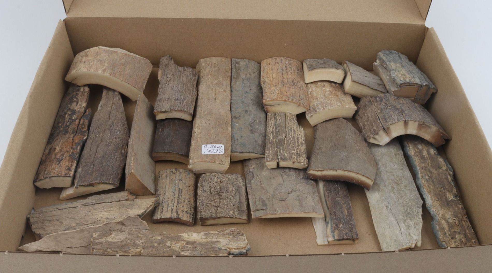 Untreated mammoth bark pieces