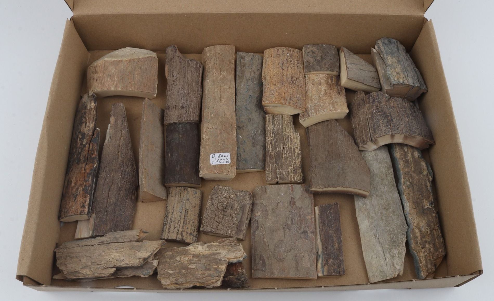 Untreated mammoth bark pieces