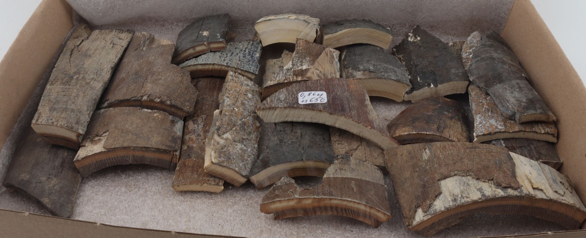 Untreated mammoth bark pieces