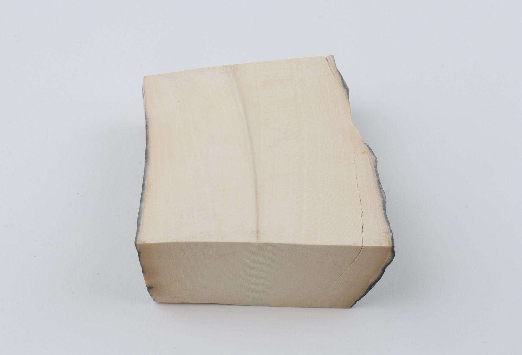 White mammoth ivory segment