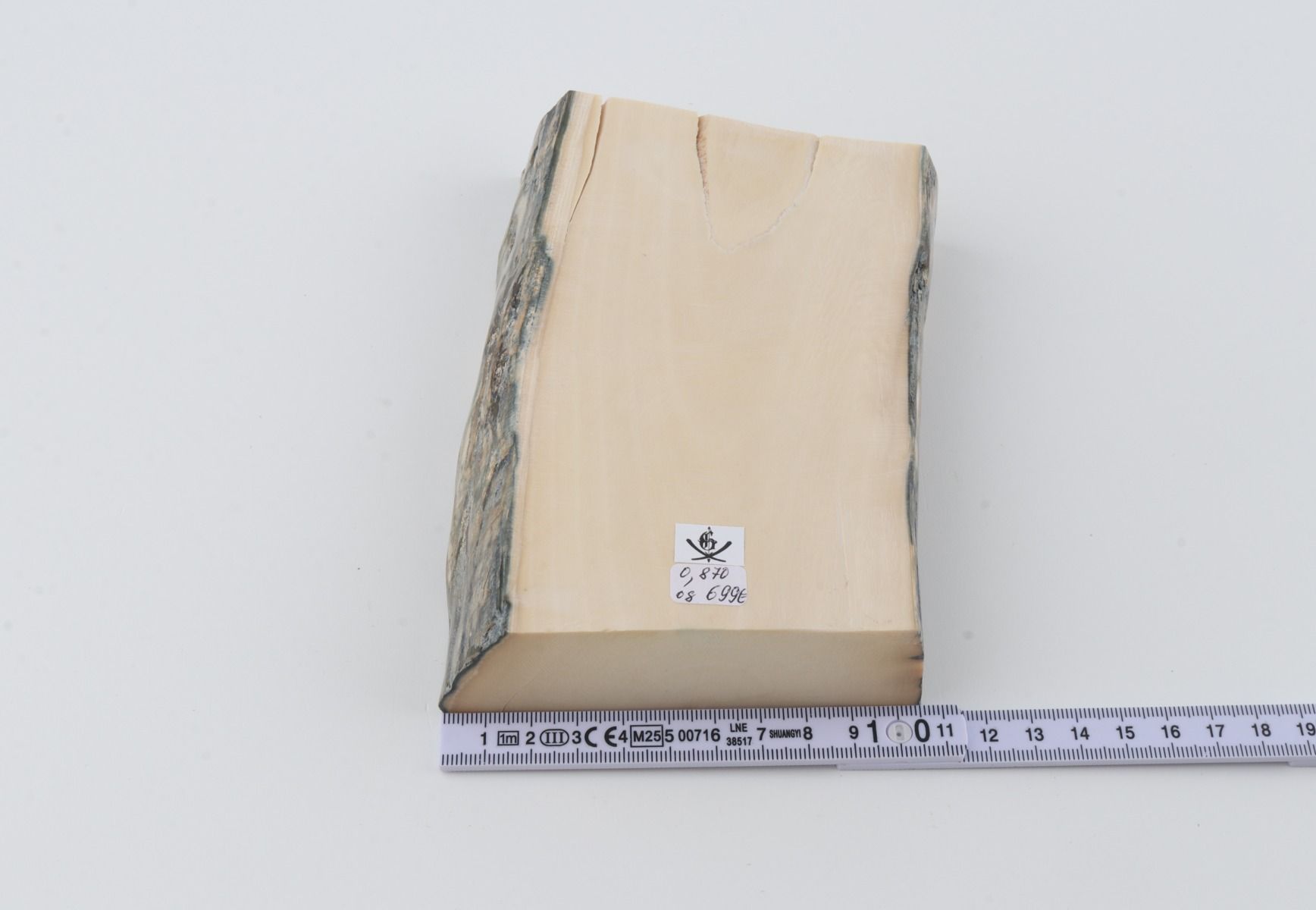 White mammoth ivory segment