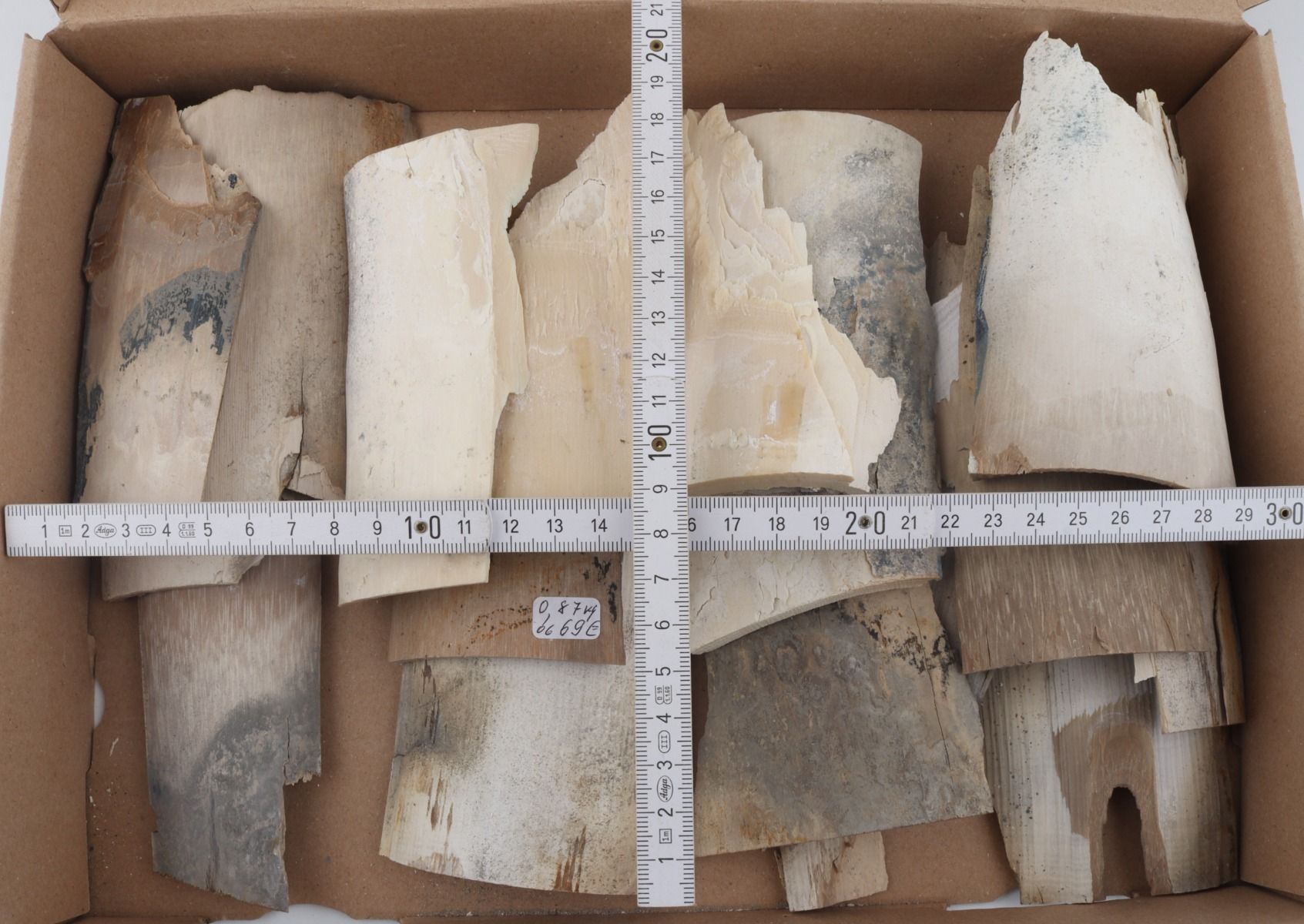Untreated mammoth ivory pieces