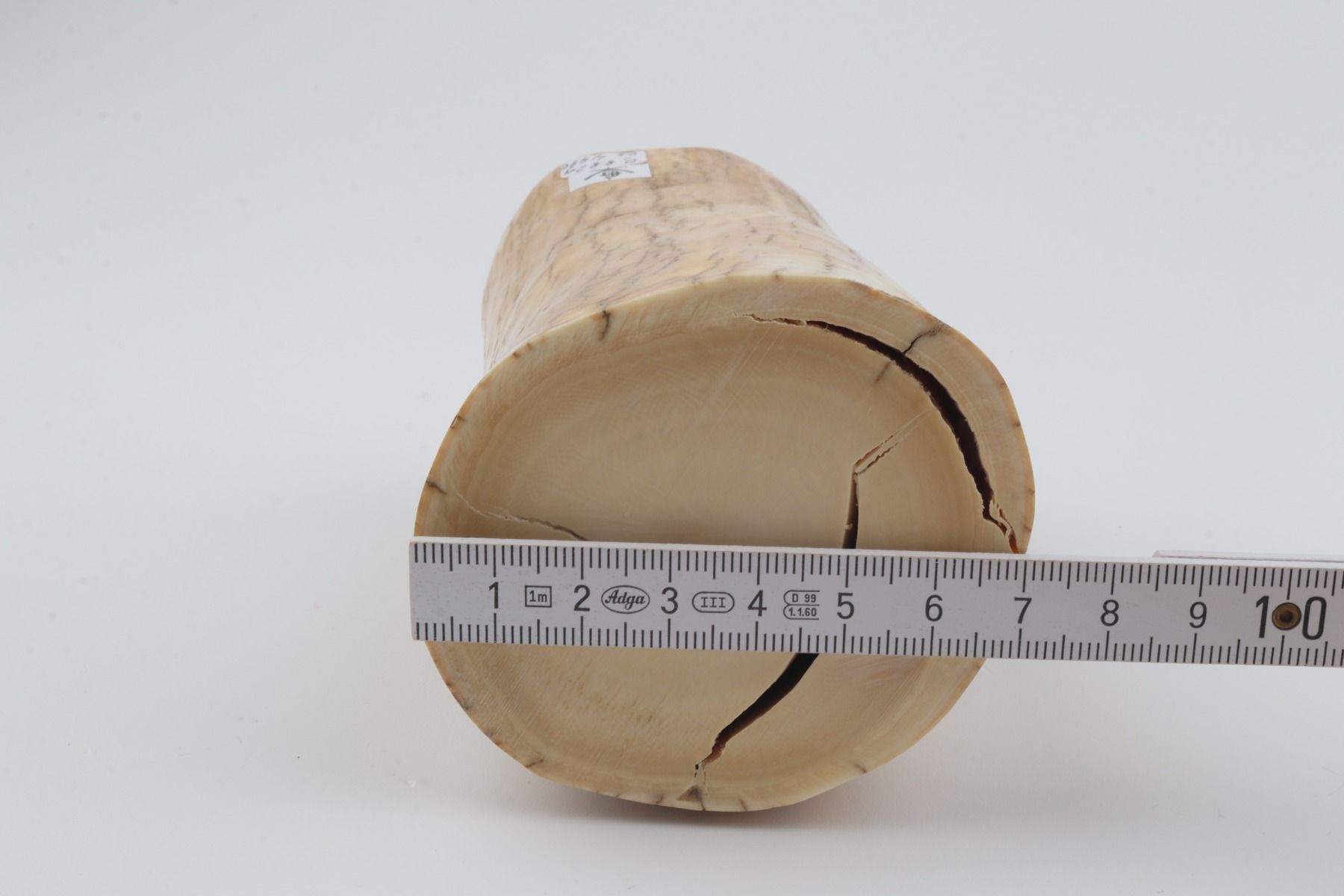 Round mammoth ivory piece