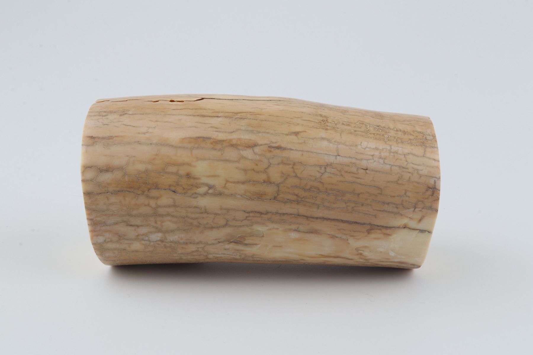 Round mammoth ivory piece