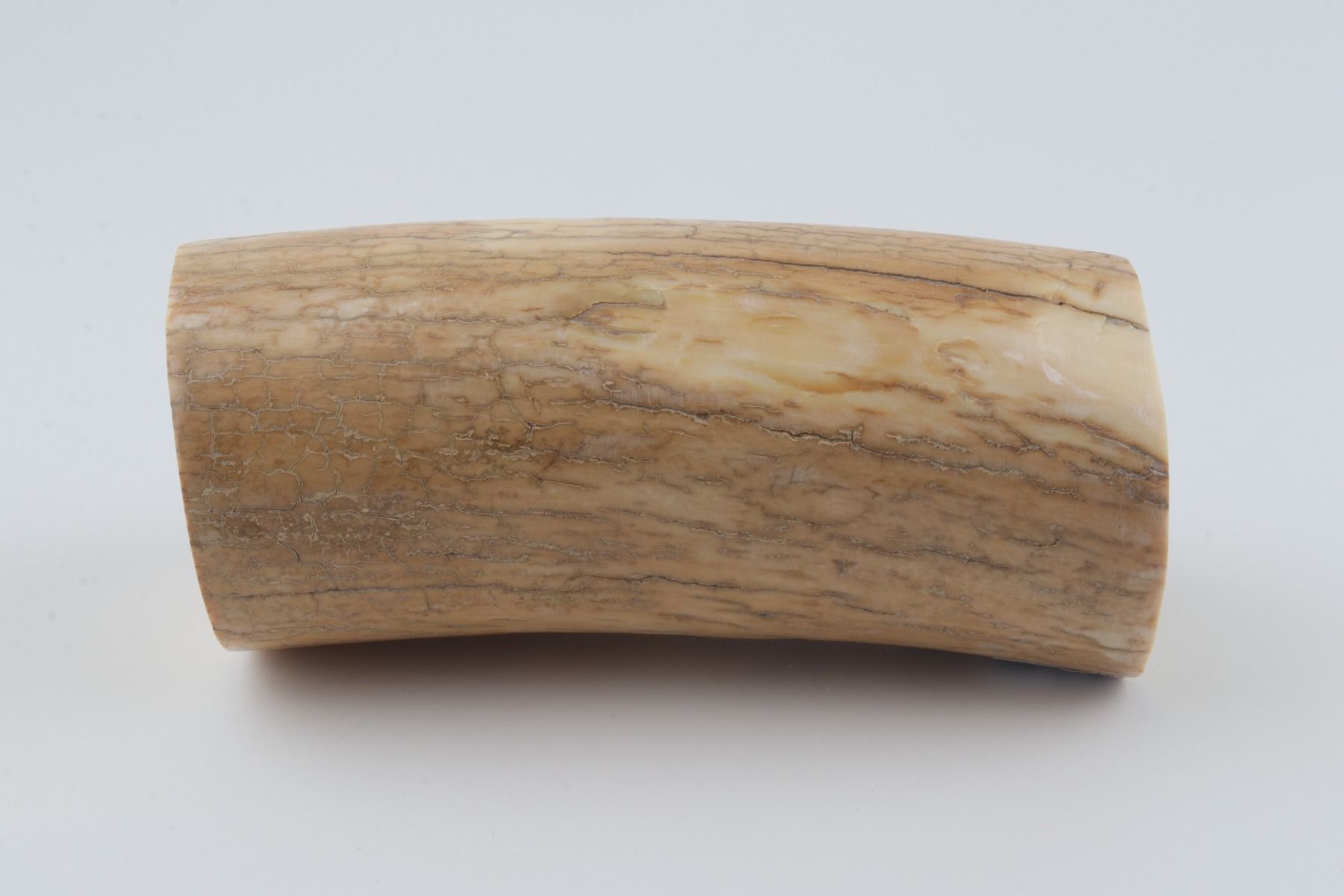 Round mammoth ivory piece