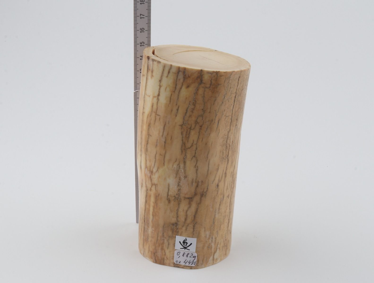 Round mammoth ivory piece