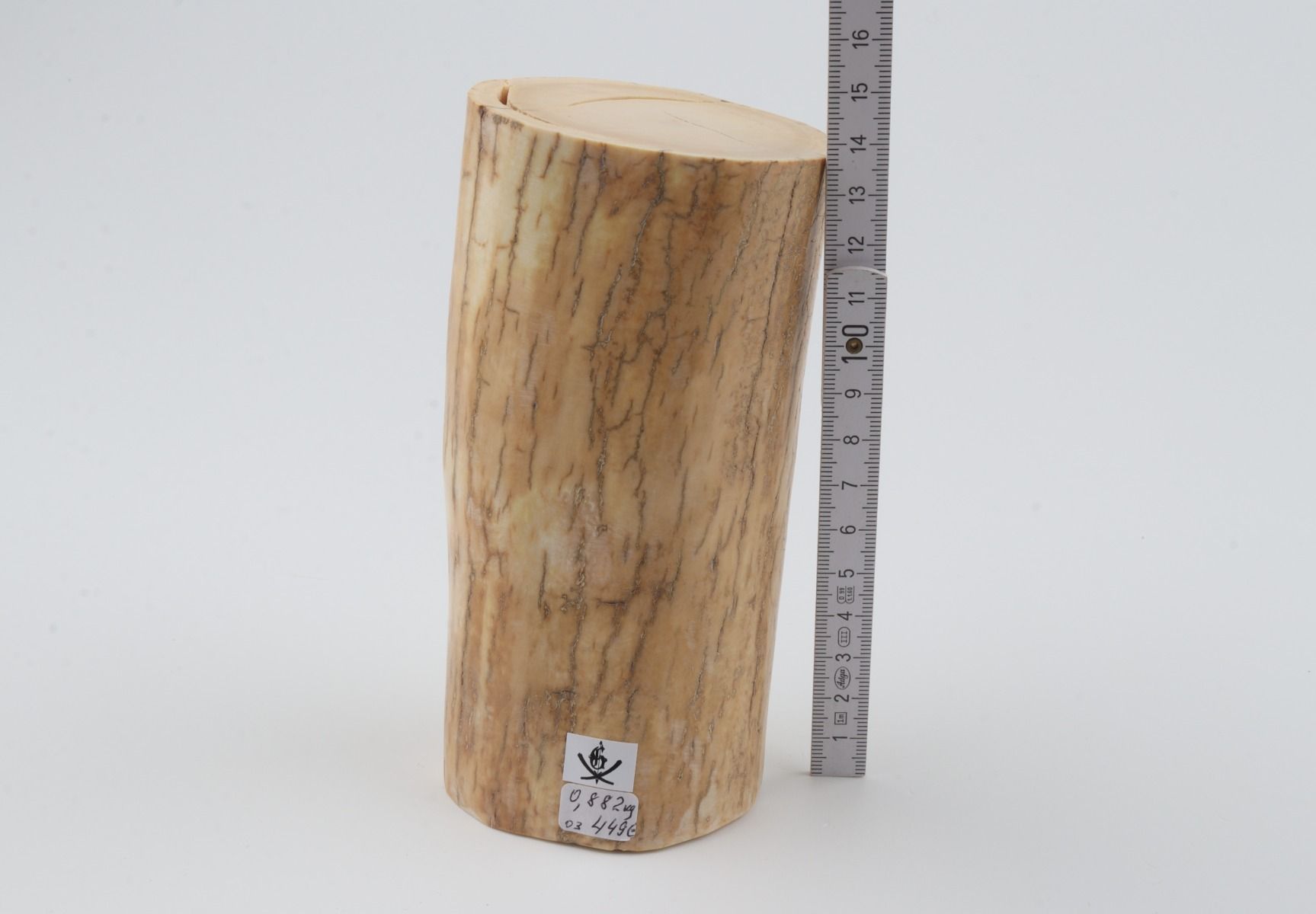 Round mammoth ivory piece