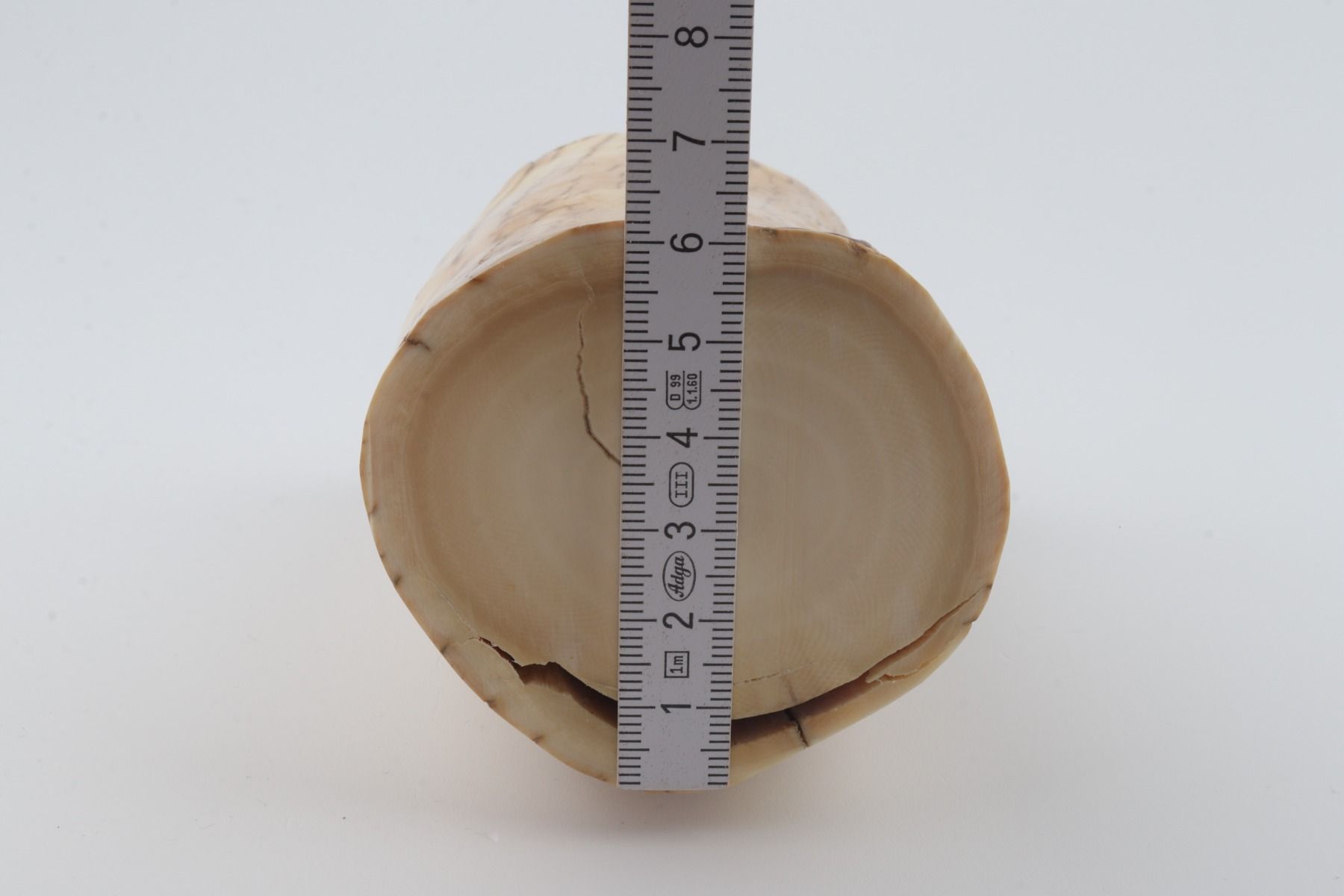 Round mammoth ivory piece