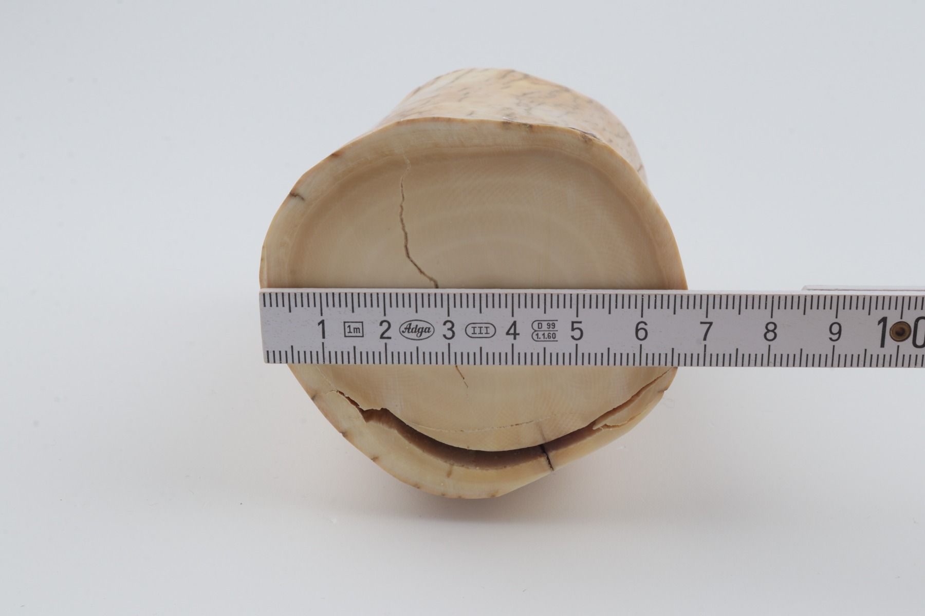 Round mammoth ivory piece