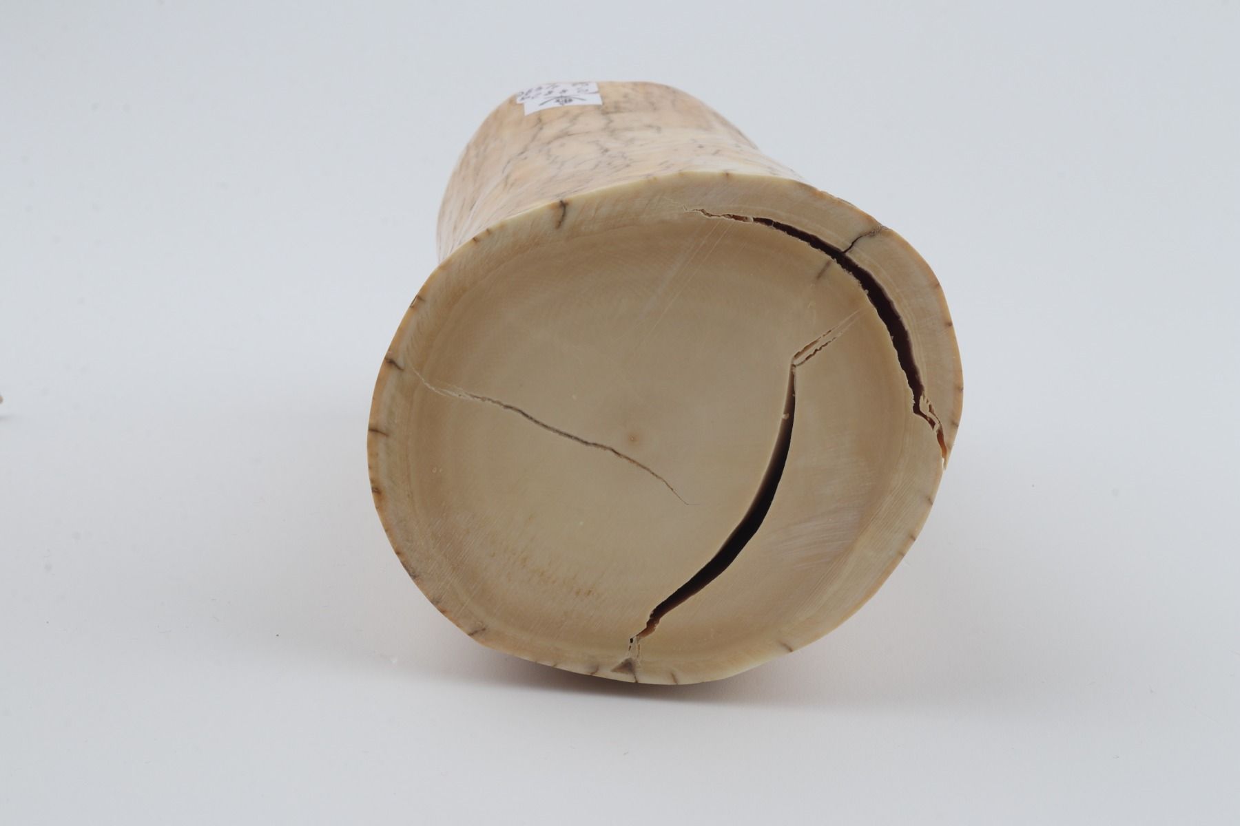 Round mammoth ivory piece