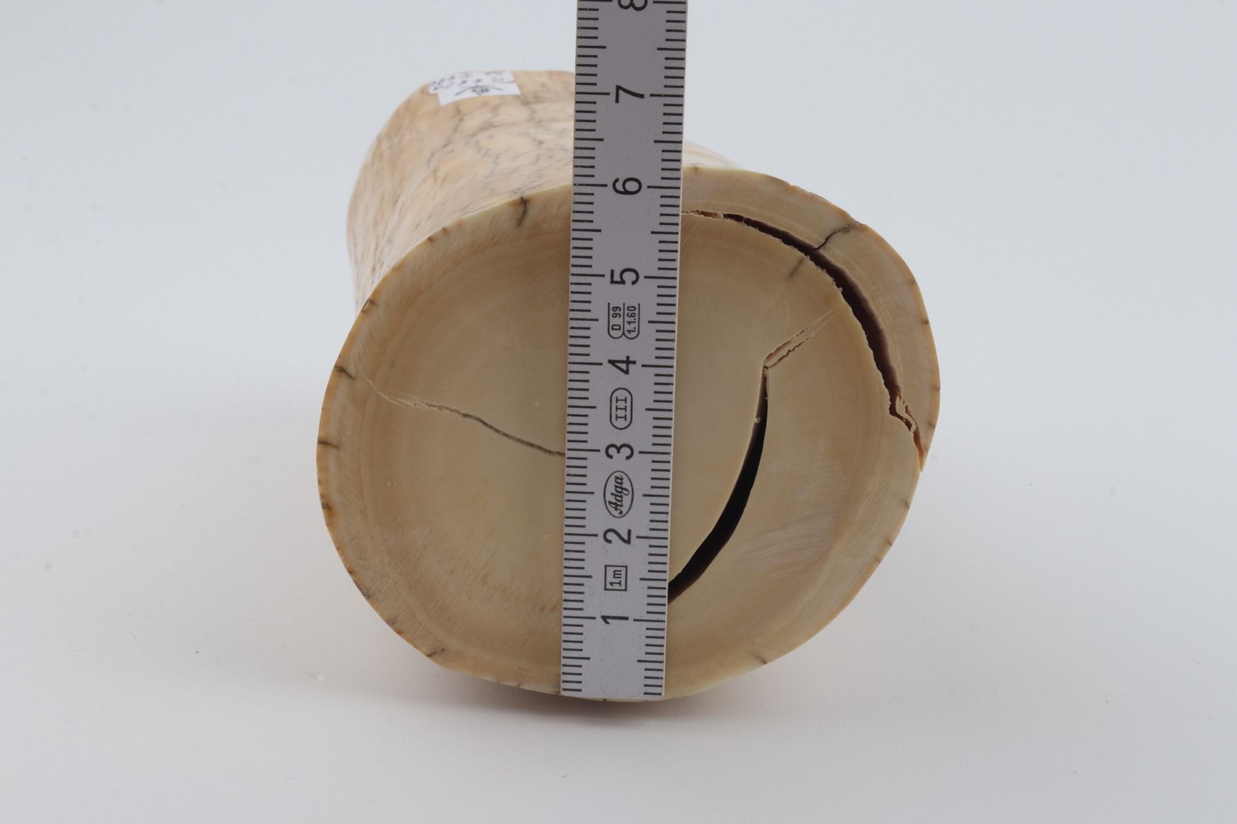 Round mammoth ivory piece