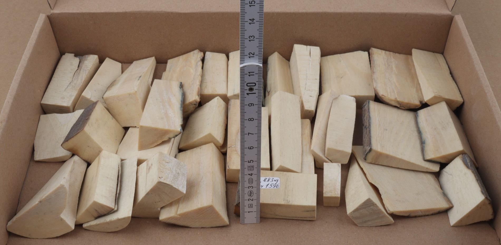 White mammoth ivory pieces