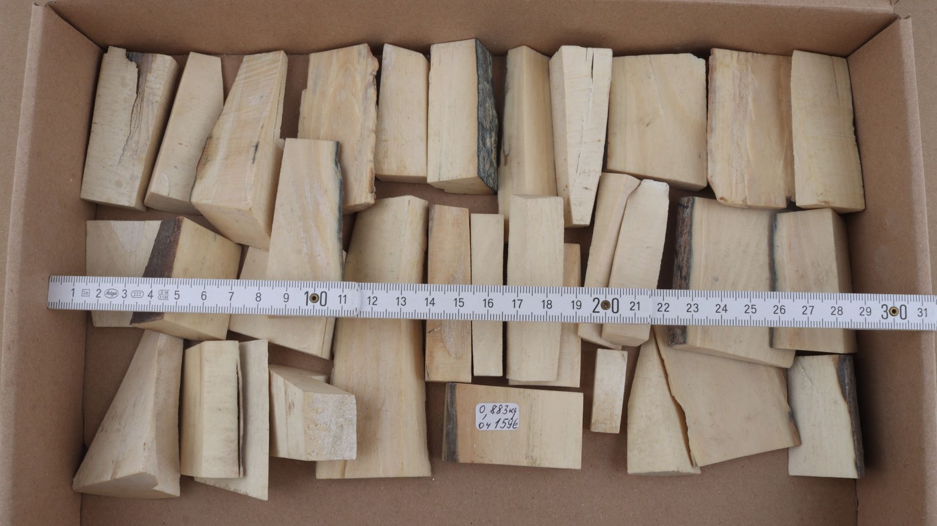 White mammoth ivory pieces