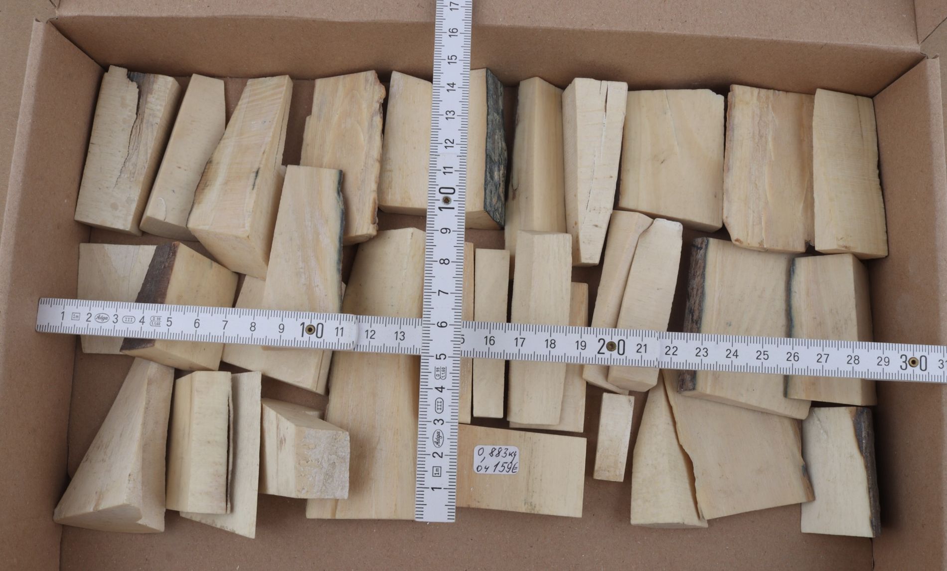 White mammoth ivory pieces