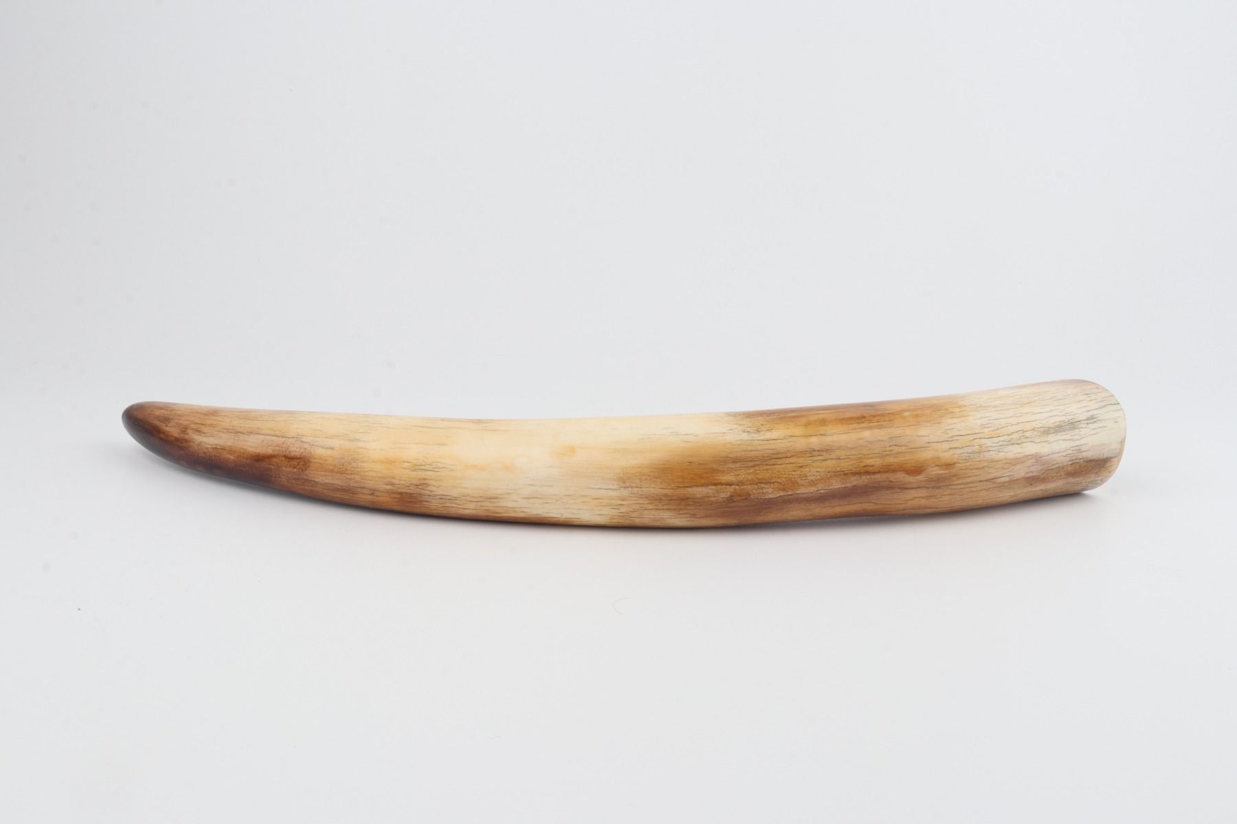 Restored mammoth tusk