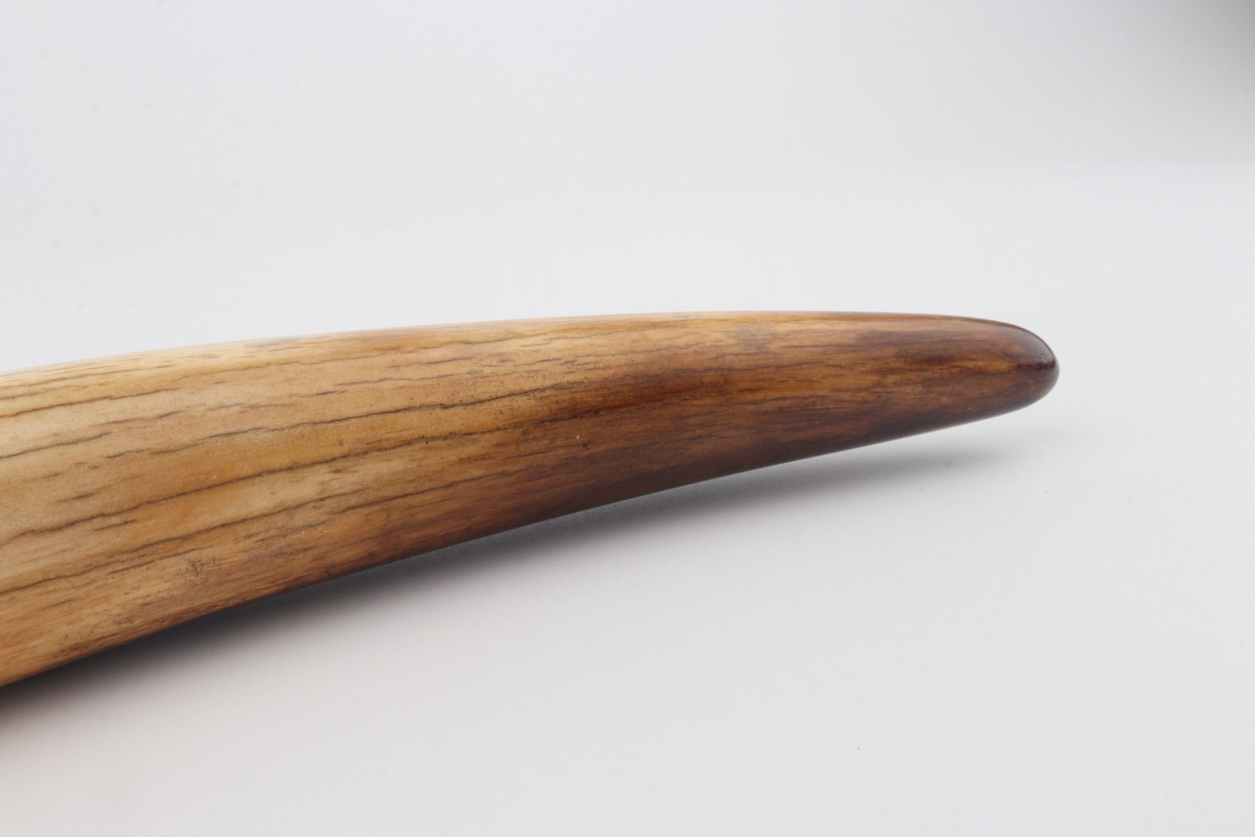 Restored mammoth tusk