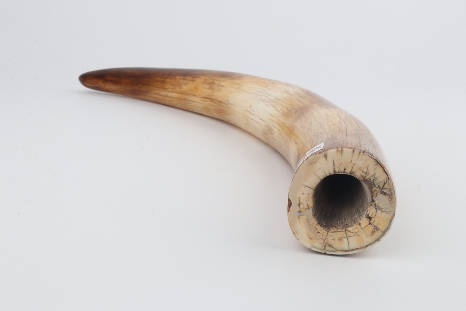 Restored mammoth tusk