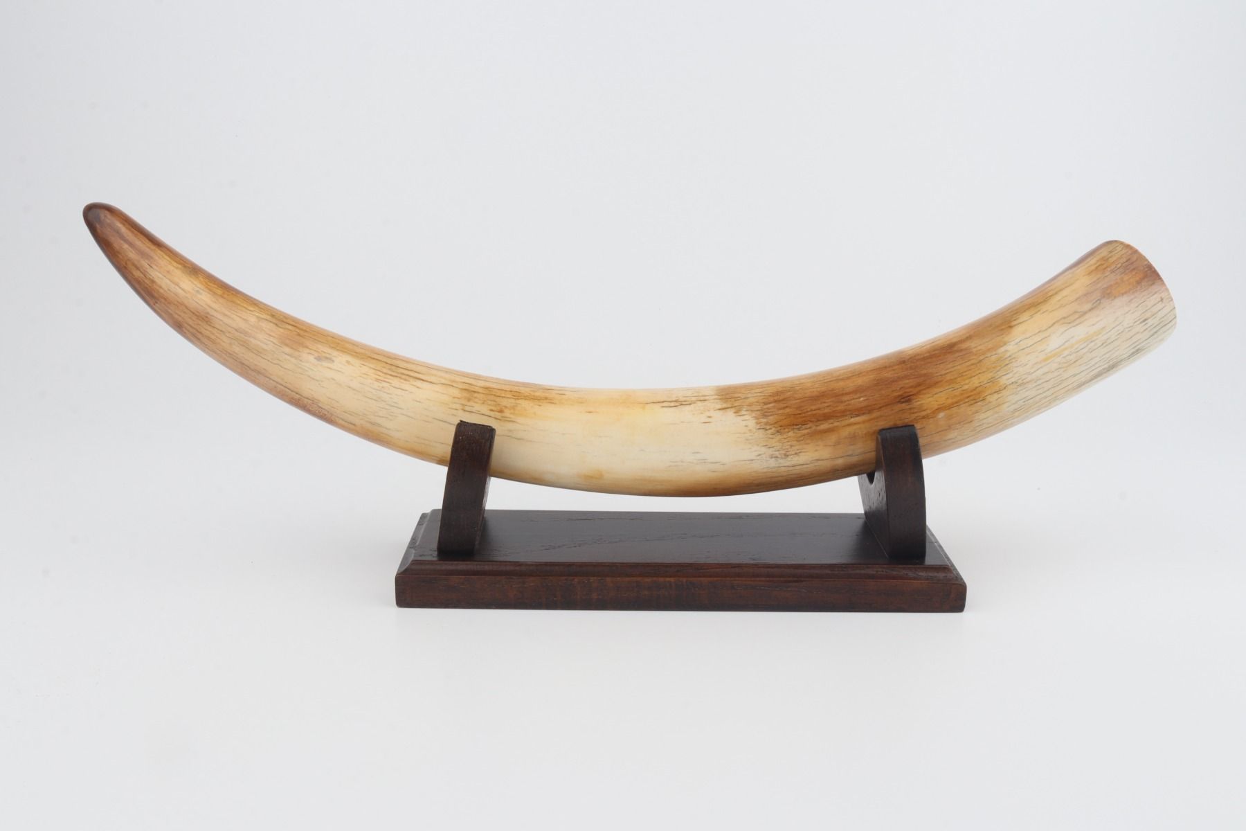Restored mammoth tusk