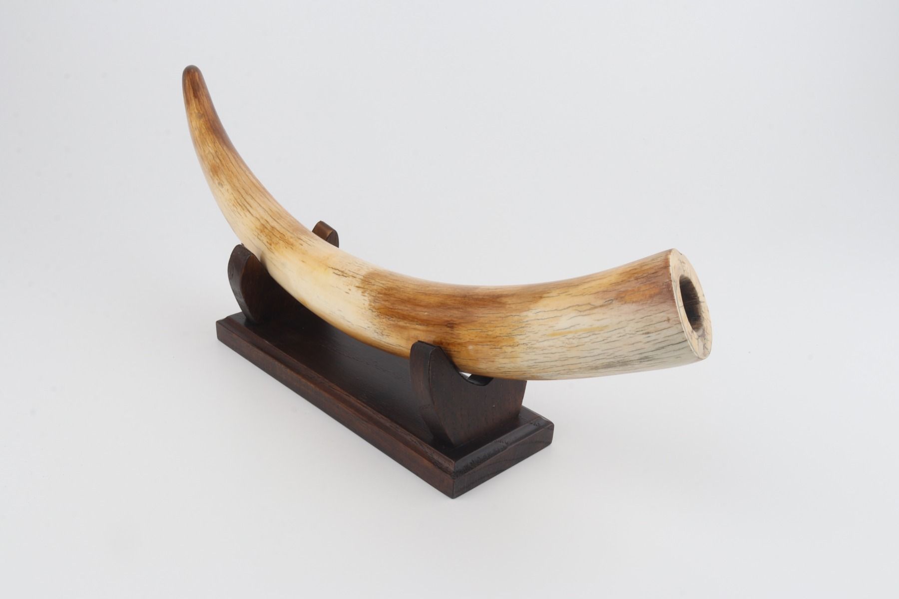 Restored mammoth tusk
