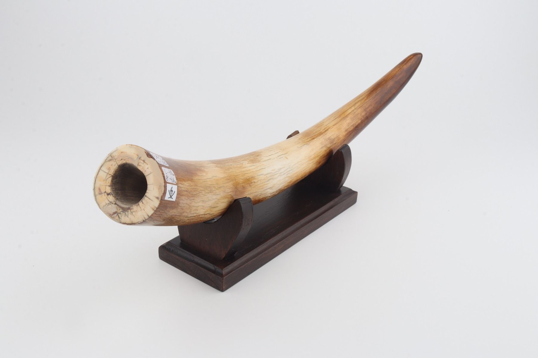 Restored mammoth tusk