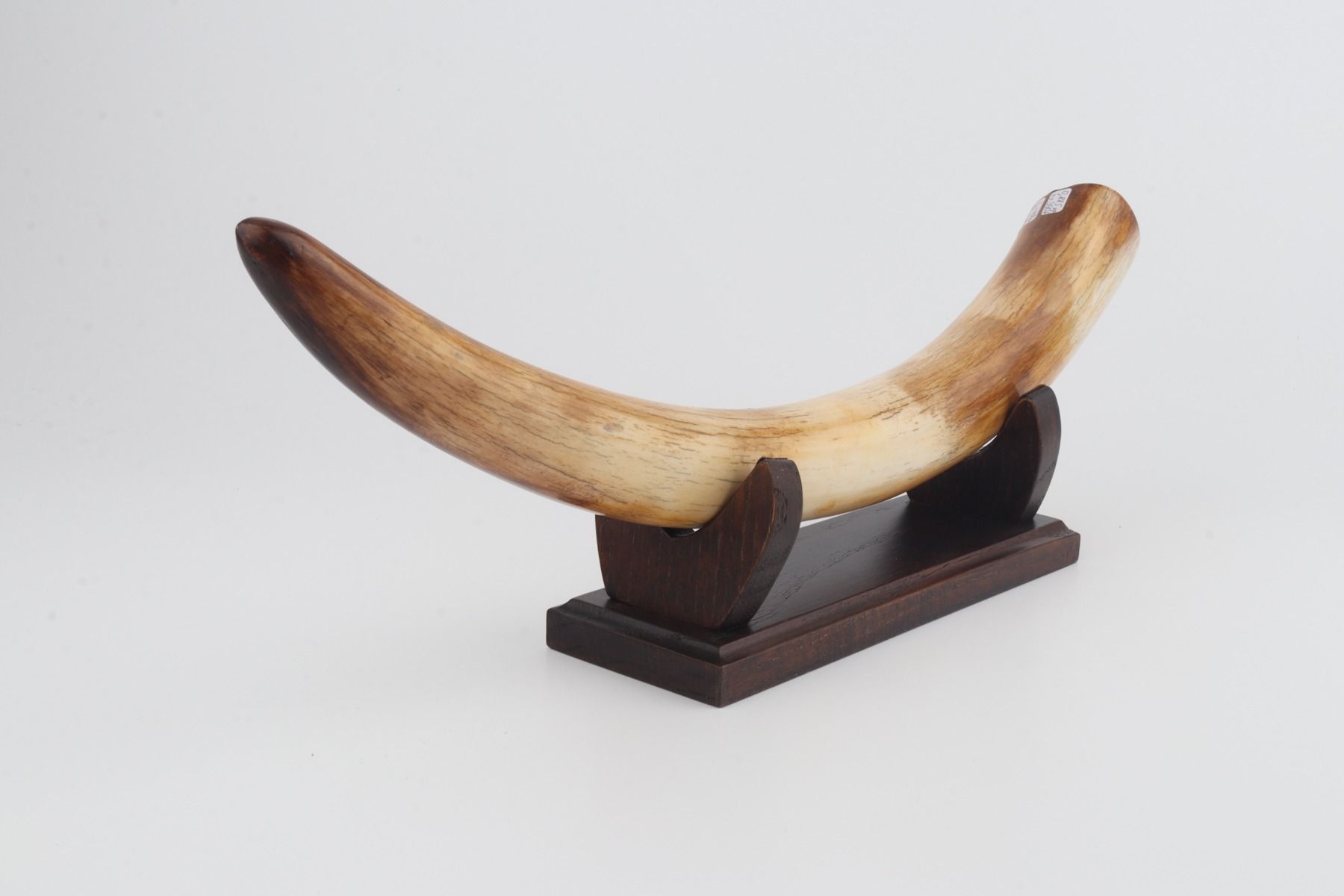 Restored mammoth tusk