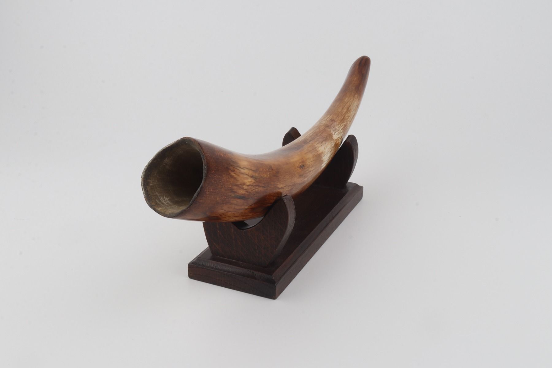 Restored woolly mammoth tusk