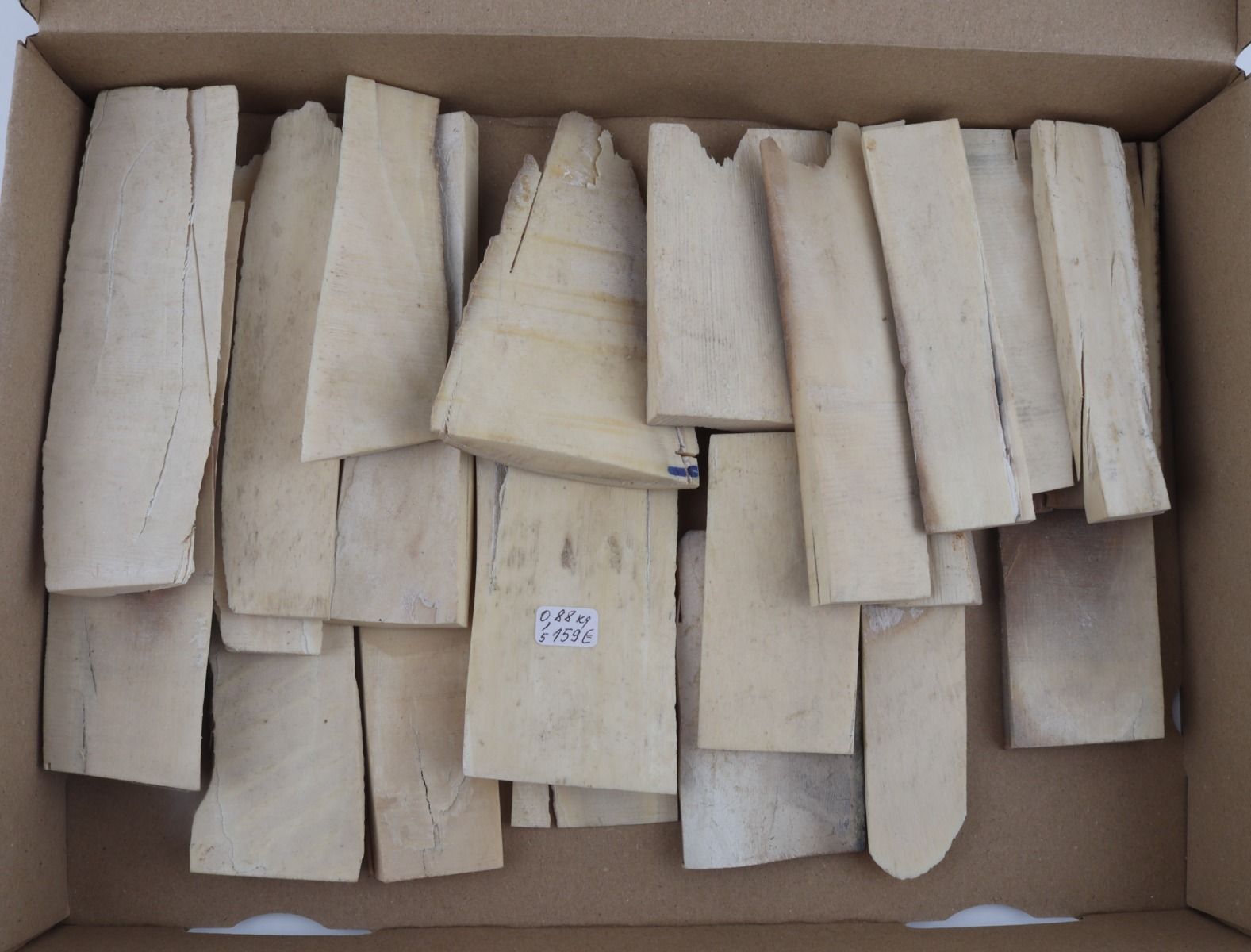 White mammoth ivory offcuts