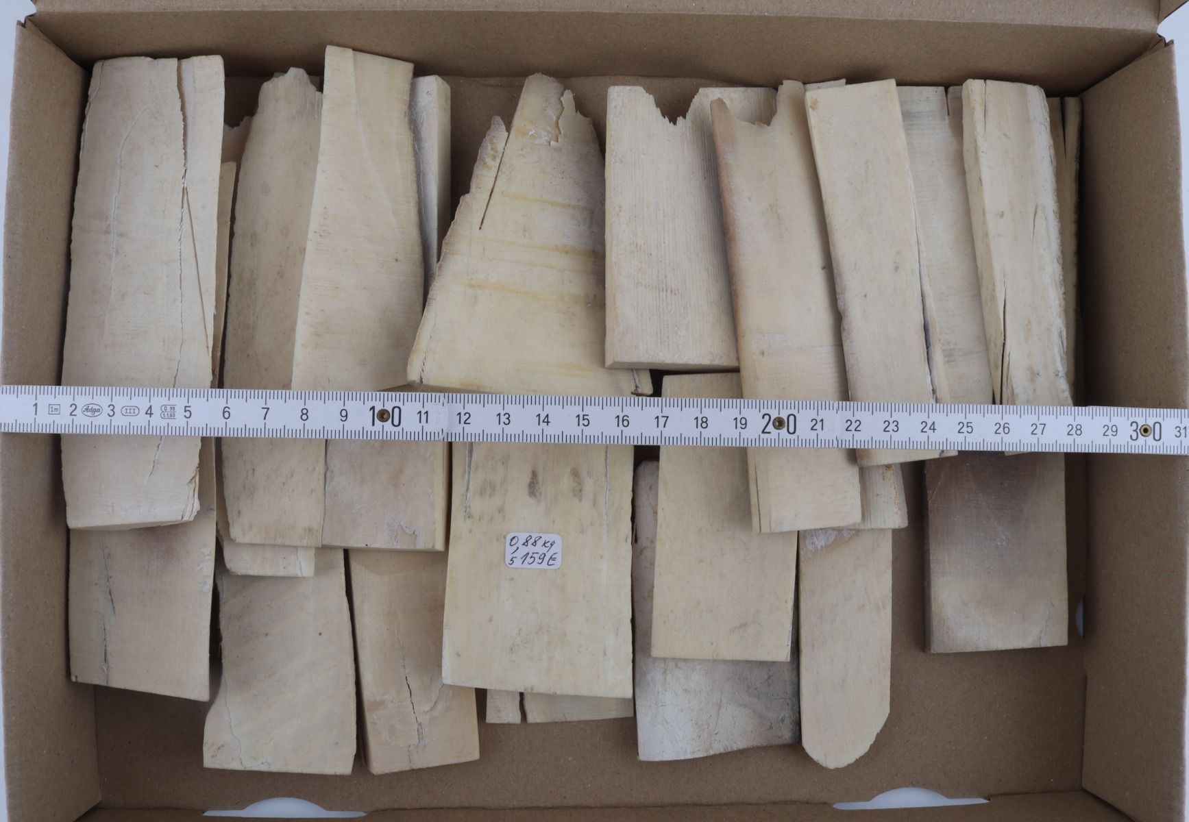 White mammoth ivory offcuts
