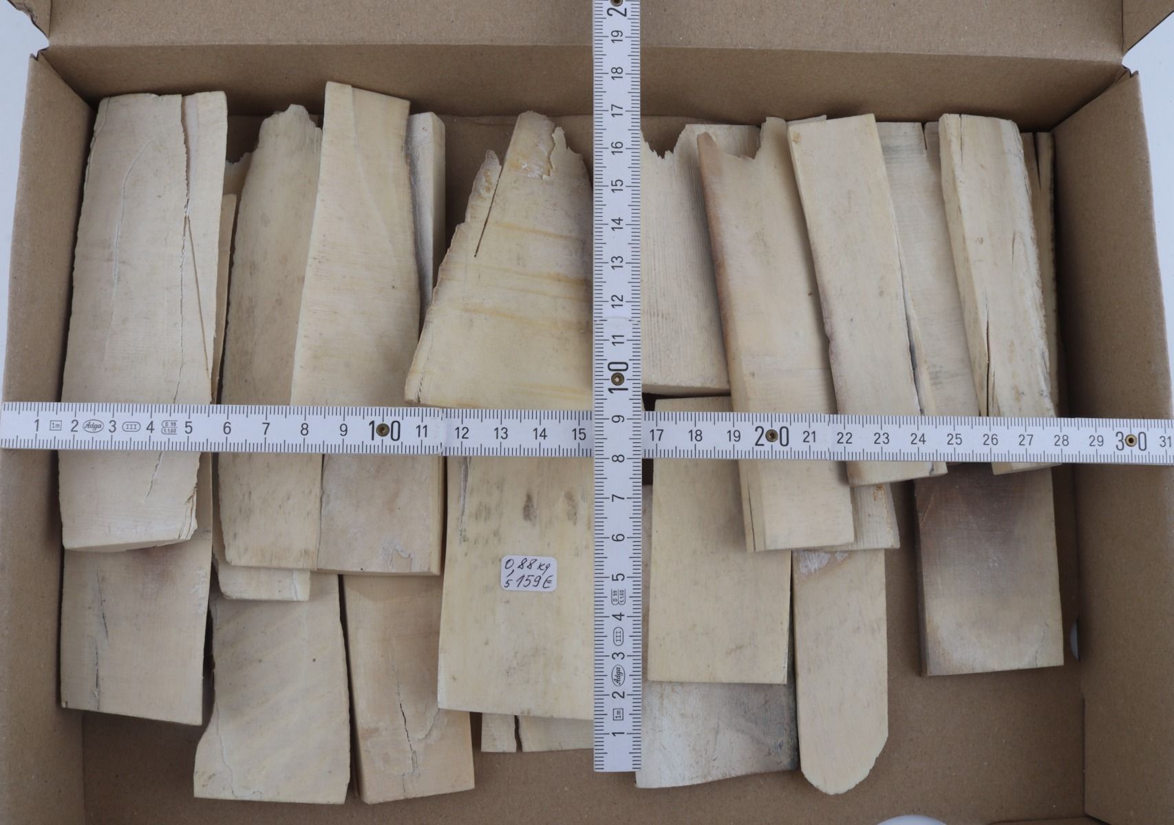 White mammoth ivory offcuts