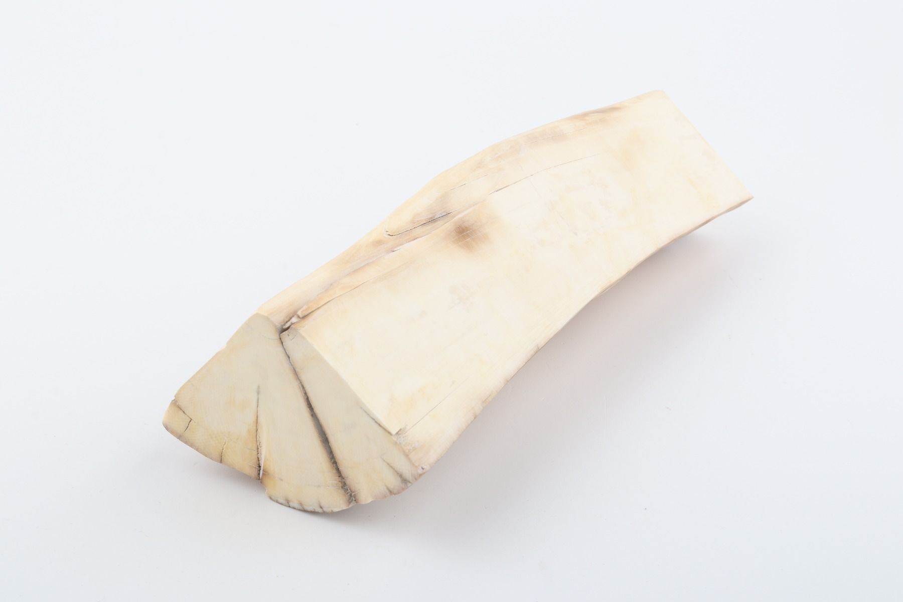 Natural mammoth tusk piece