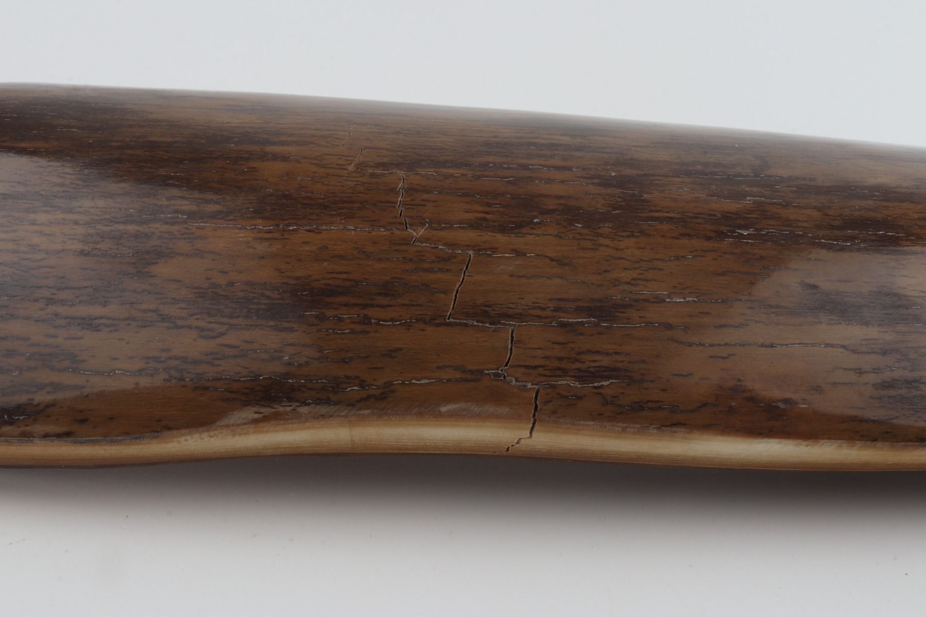 Brown-mustard mammoth bark
