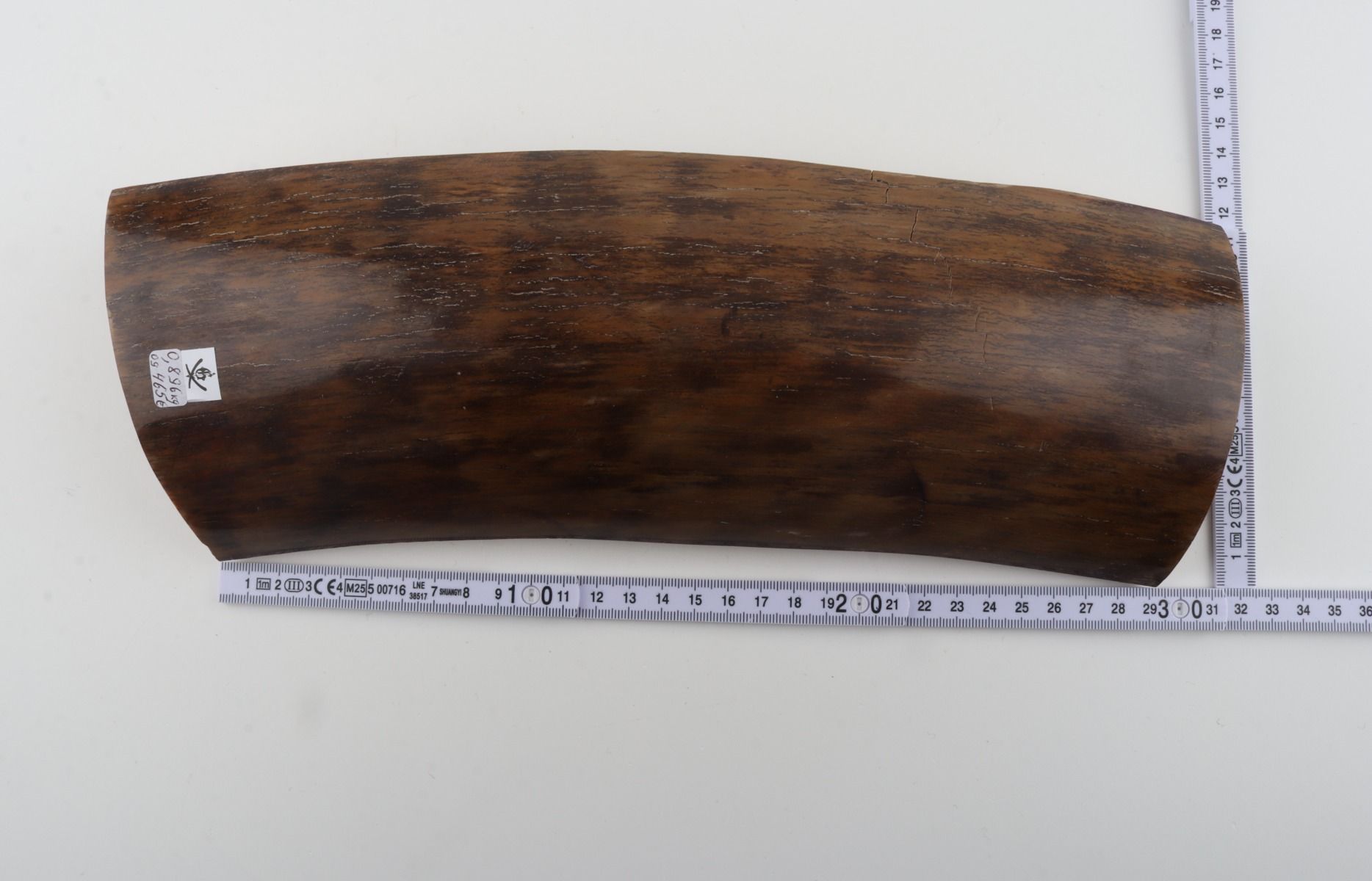 Brown-mustard mammoth bark