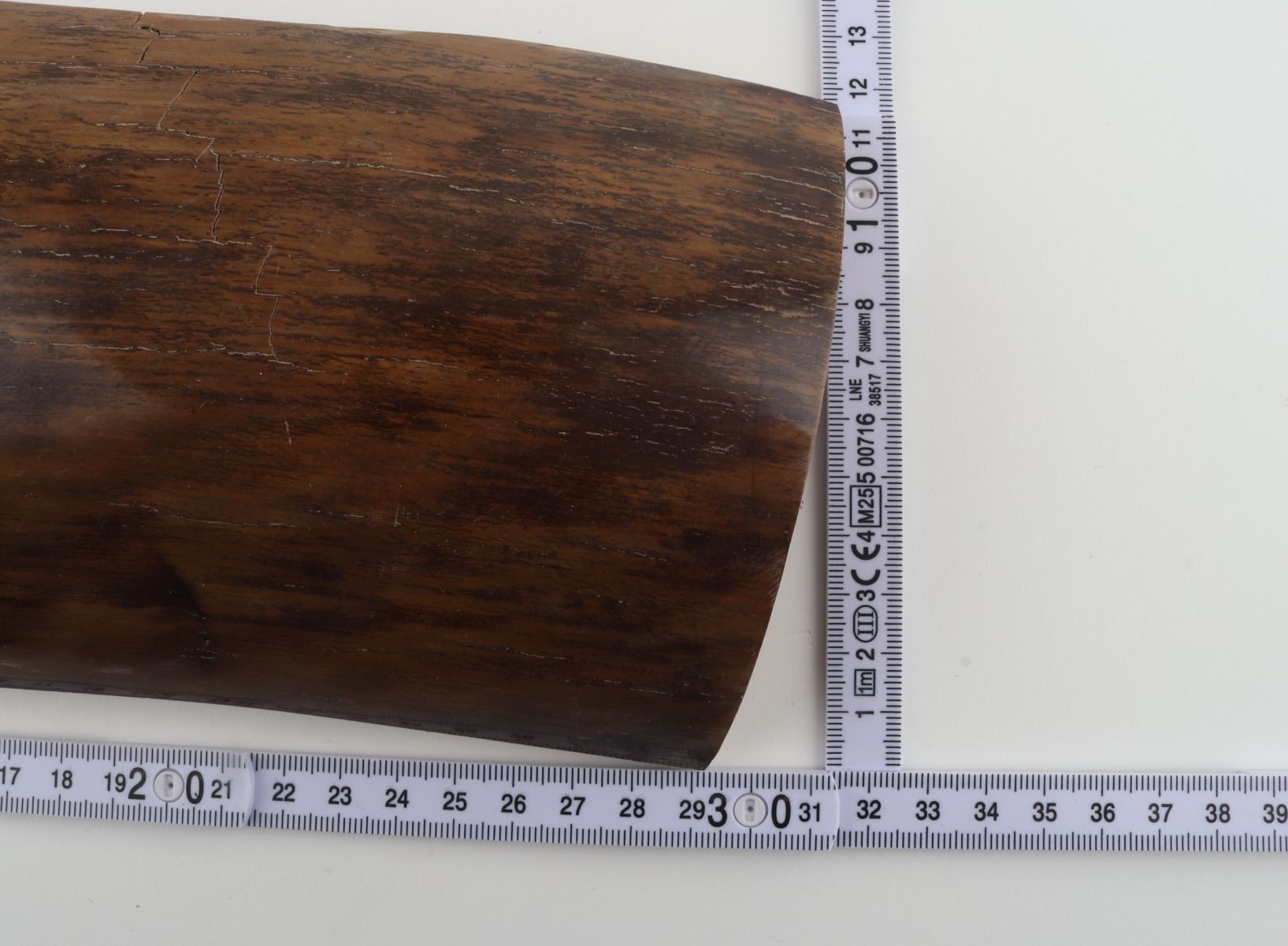 Brown-mustard mammoth bark