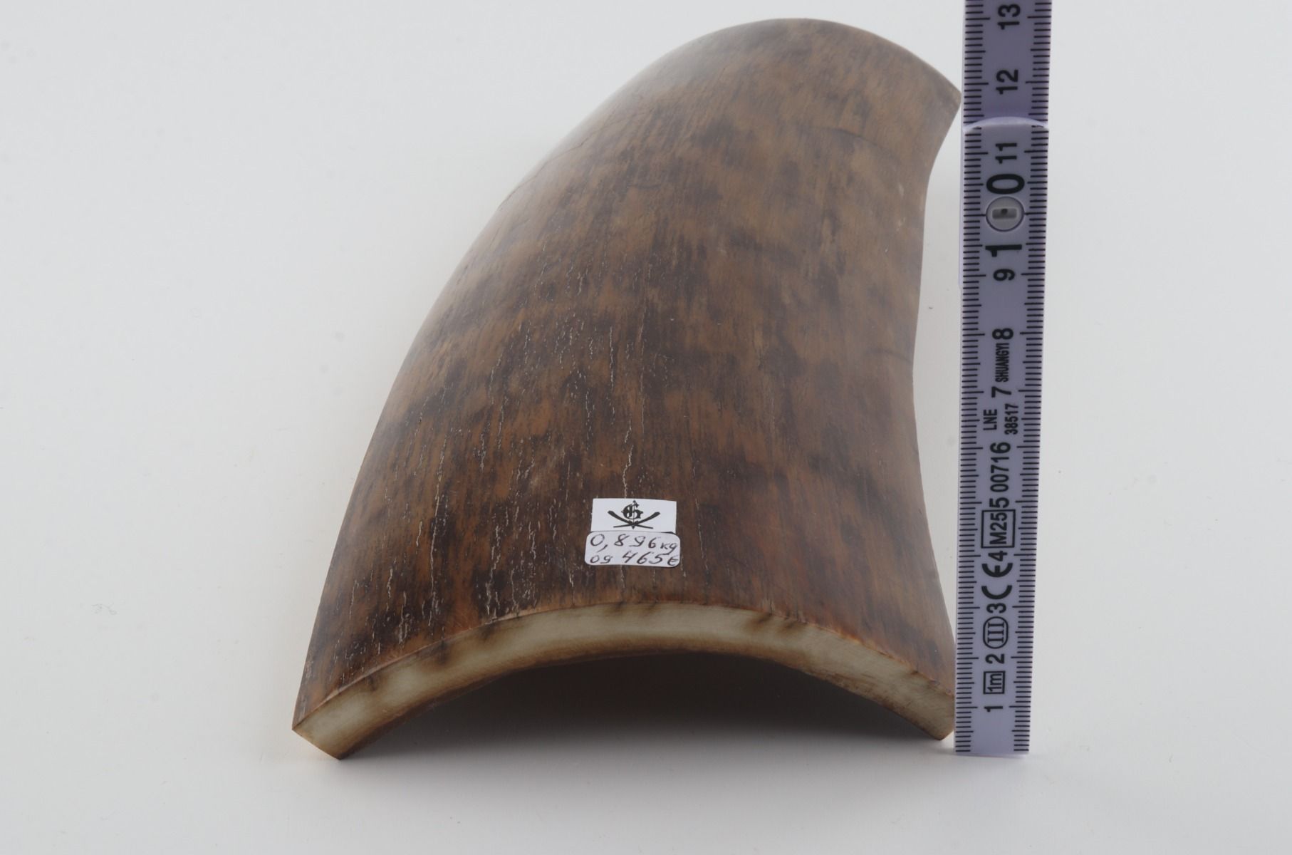 Brown-mustard mammoth bark