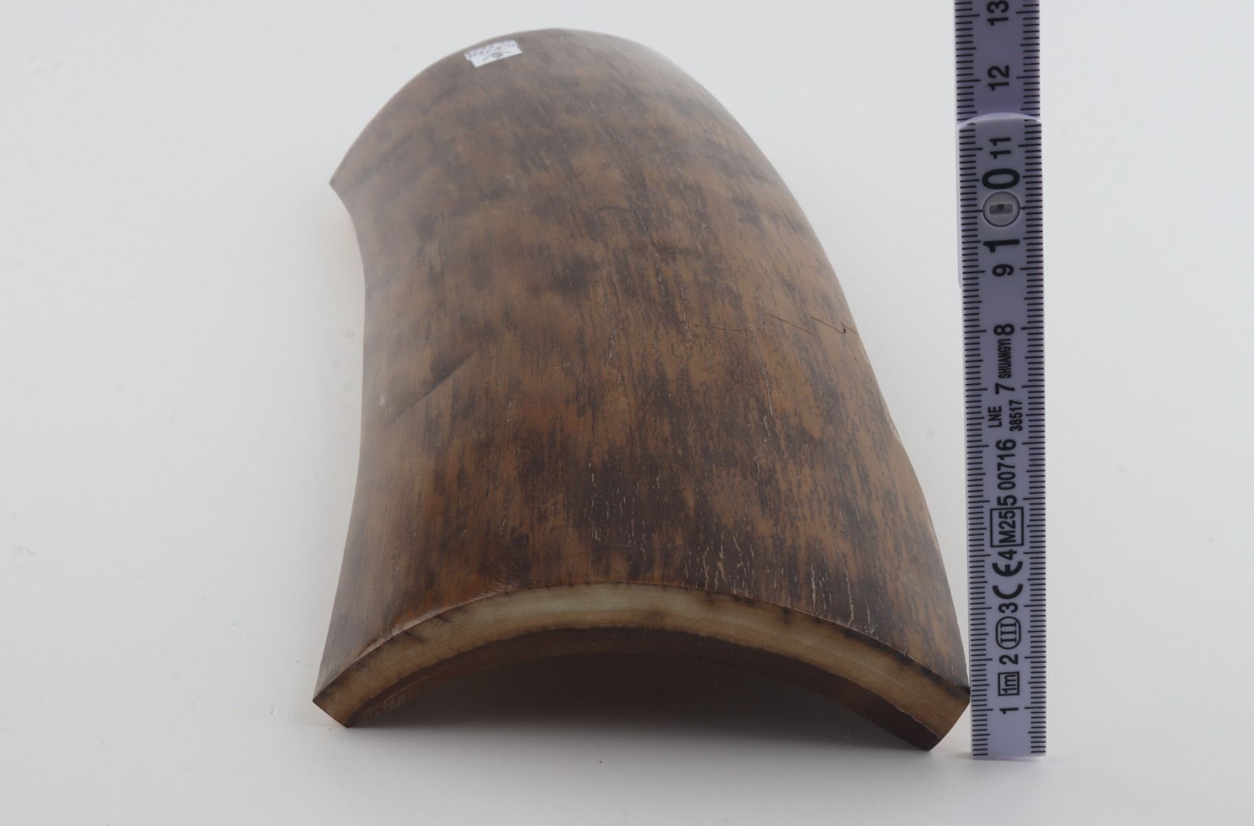 Brown-mustard mammoth bark