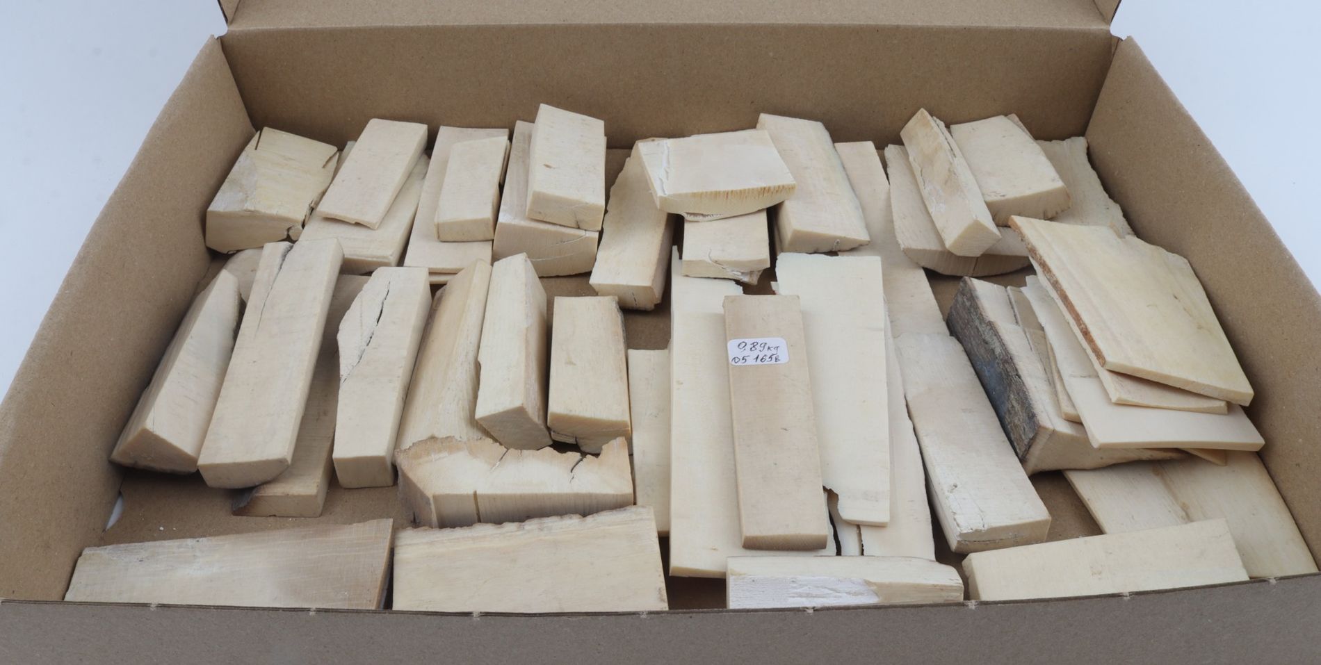 Untreated mammoth ivory pieces
