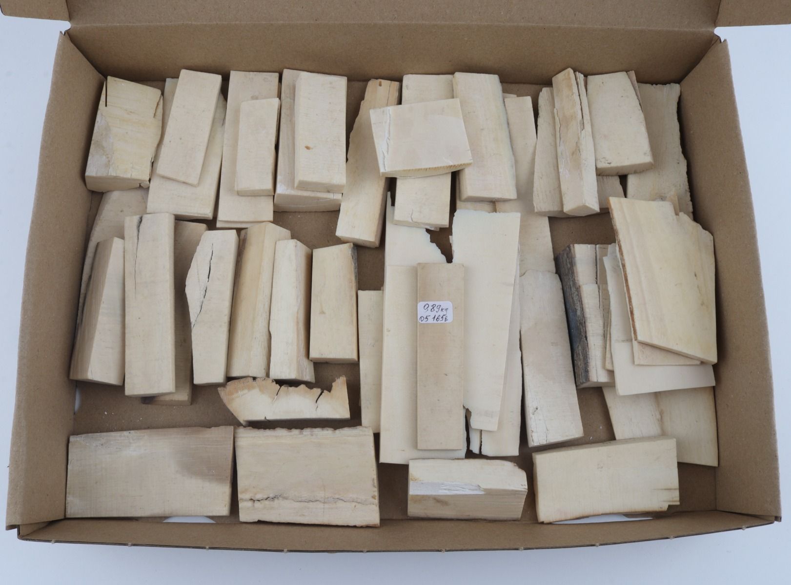 Untreated mammoth ivory pieces