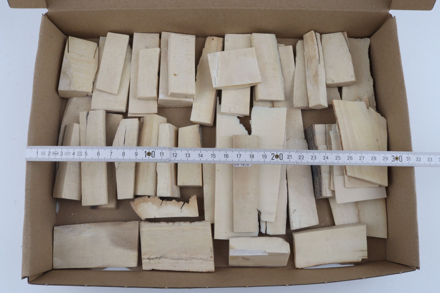 Untreated mammoth ivory pieces