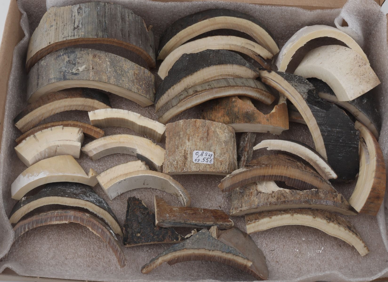 Raw mammoth ivory pieces