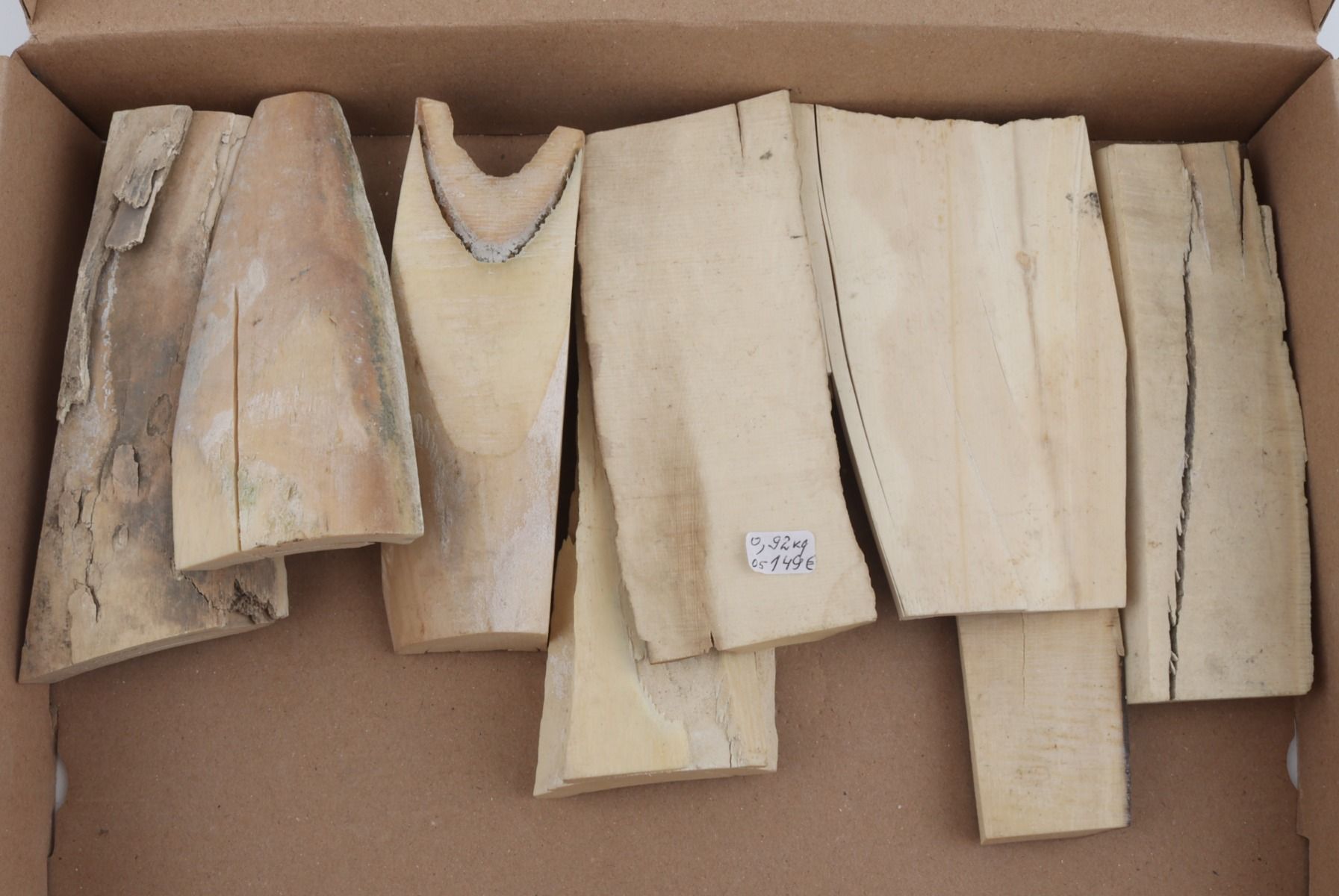 White mammoth ivory pieces