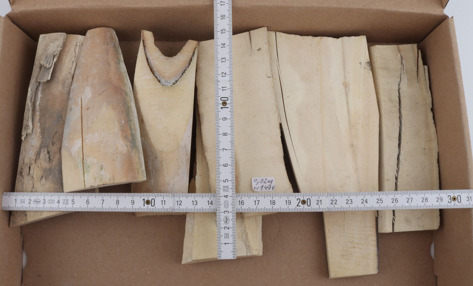 White mammoth ivory pieces