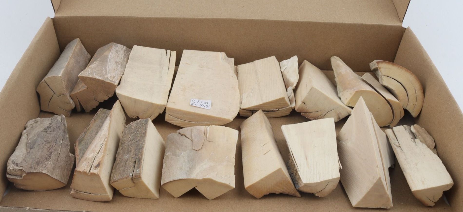 Raw mammoth ivory offcuts