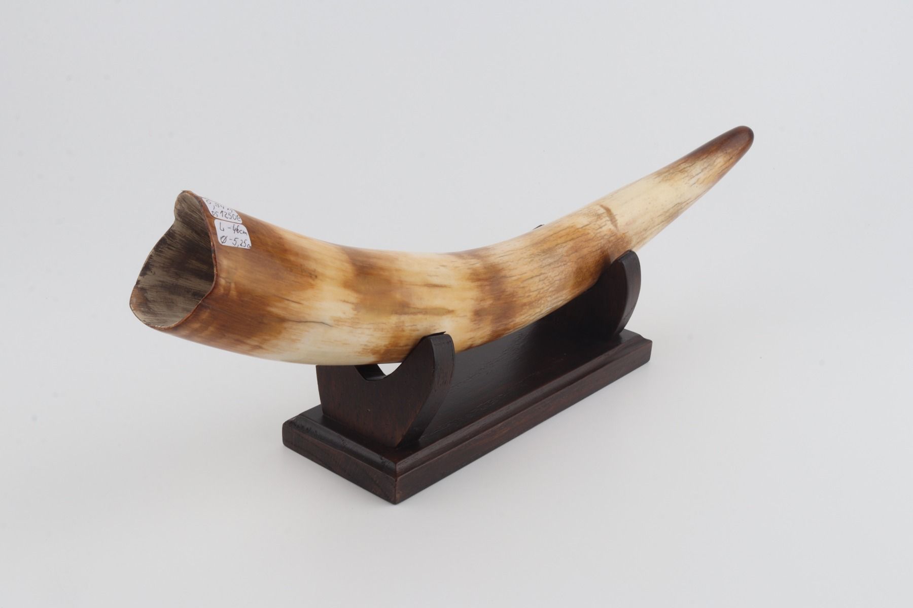 Restored woolly mammoth tusk