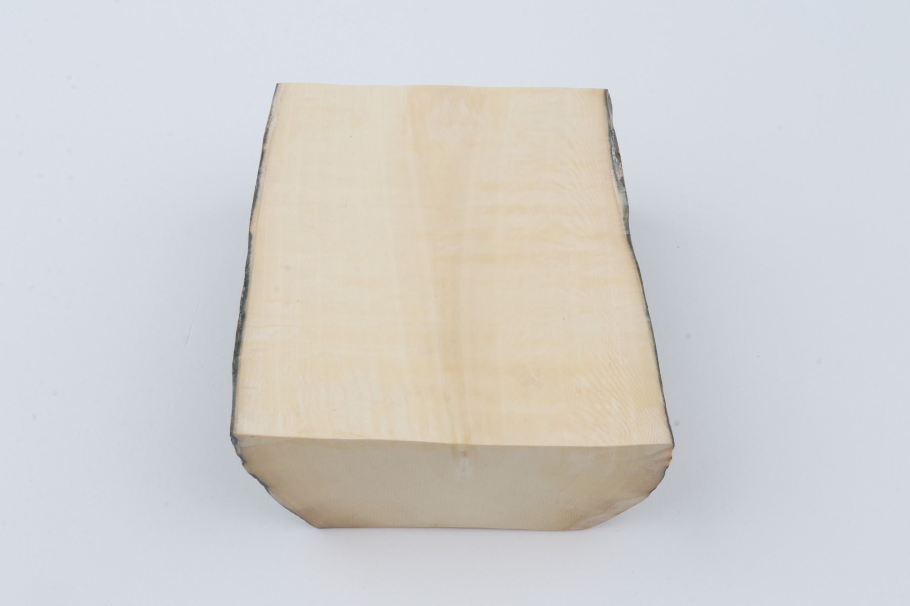 White mammoth ivory segments