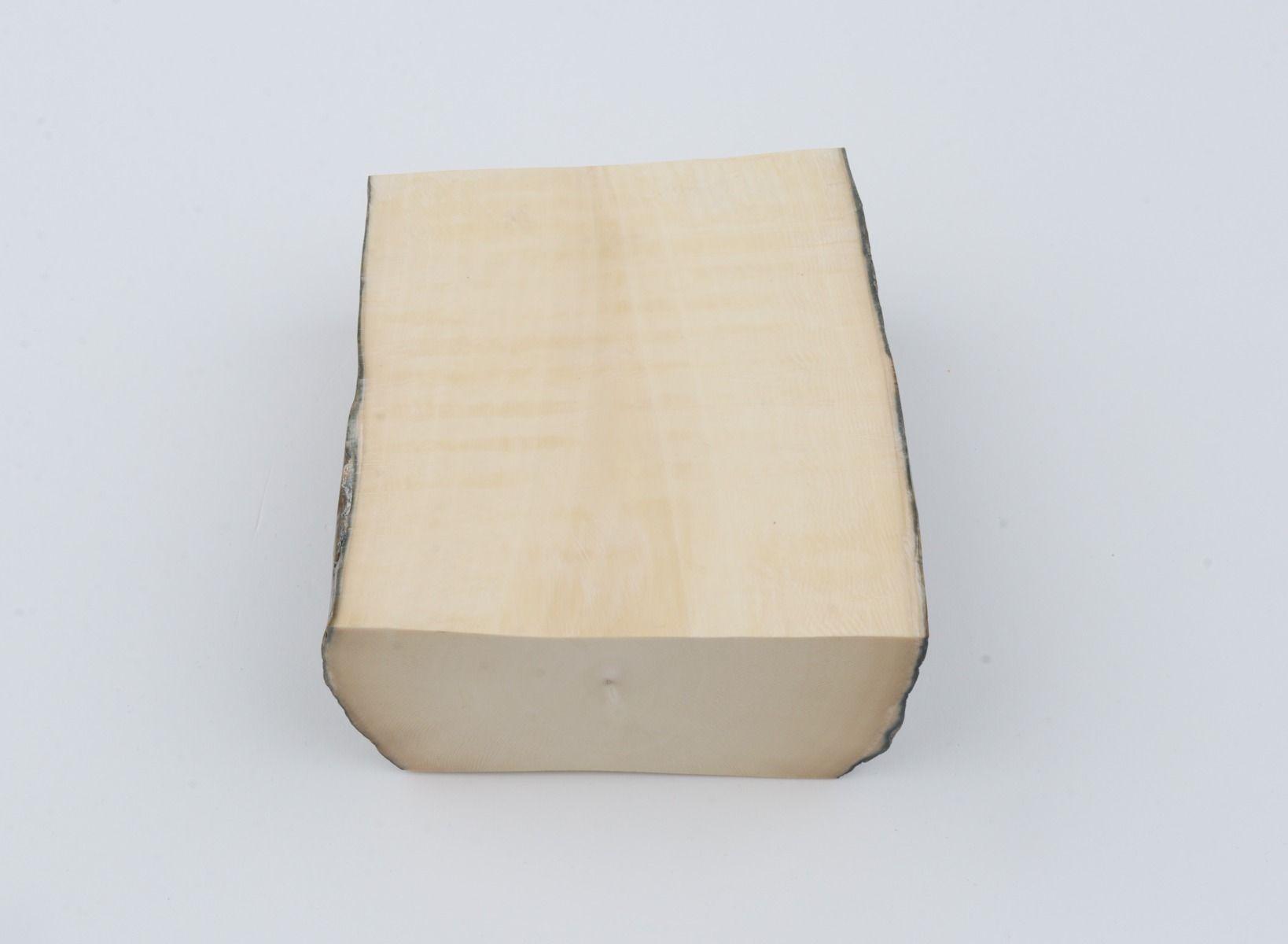 White mammoth ivory segments